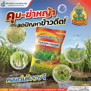 คลอร์เต้ 7.76 จี